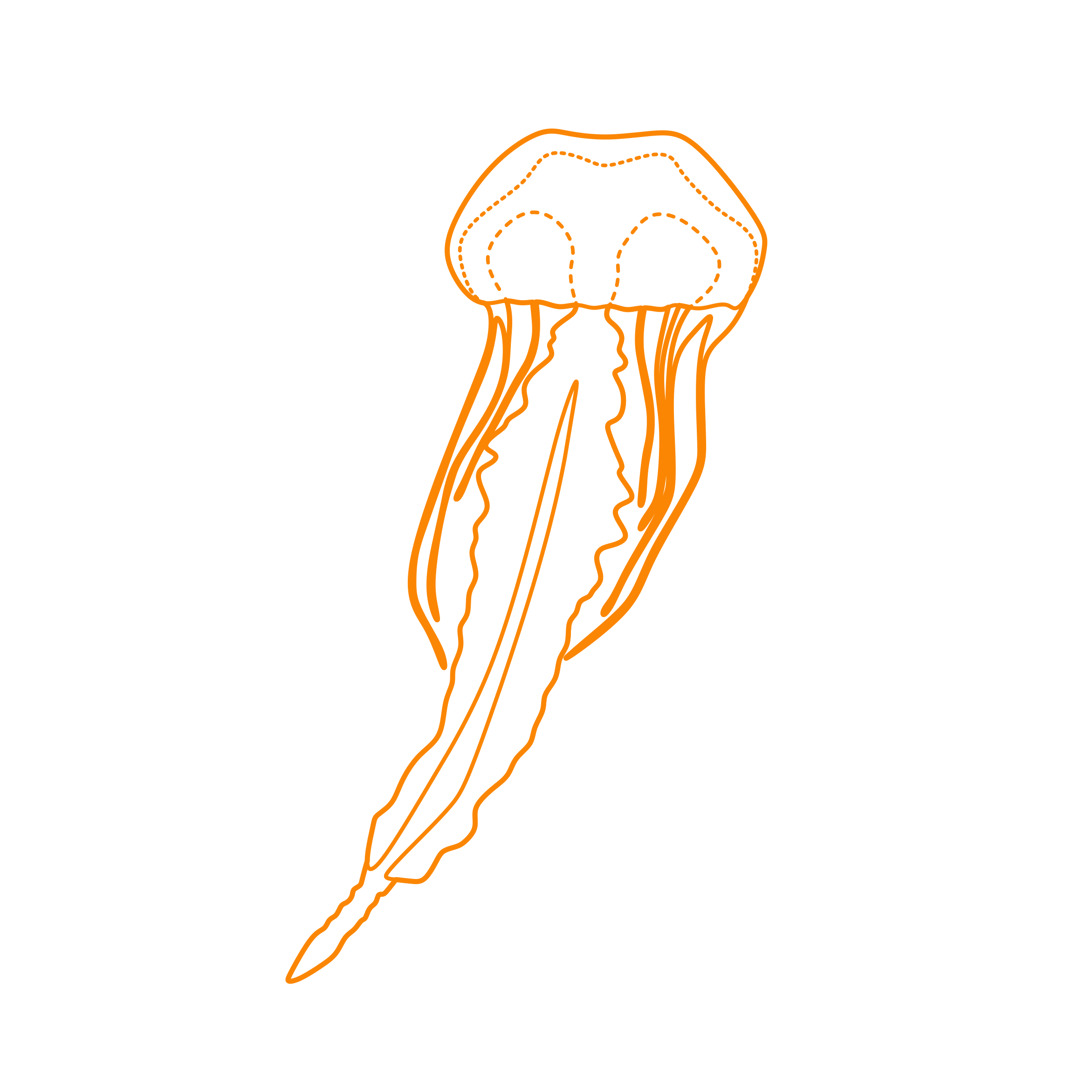 Animals Jellyfish Black Sea Nettle Jellyfish Digital Sketch Svg Design Free Vectors